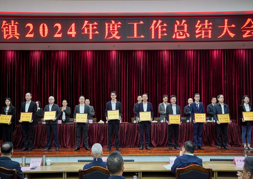 双项殊荣！多多28电声荣登石排镇2024年度“双十强”榜单